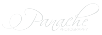 Adelaide Wedding Photographers – Panache Photography